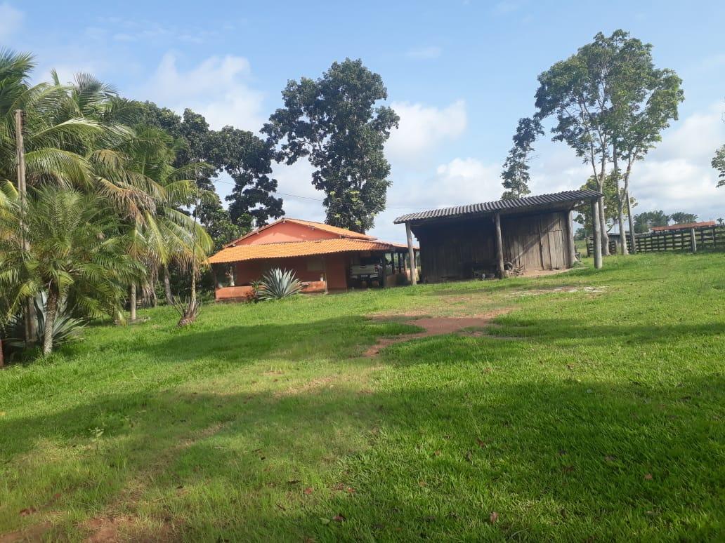 Propriedade rural em Araguaína — 1.224 ha — foto 1 de 12