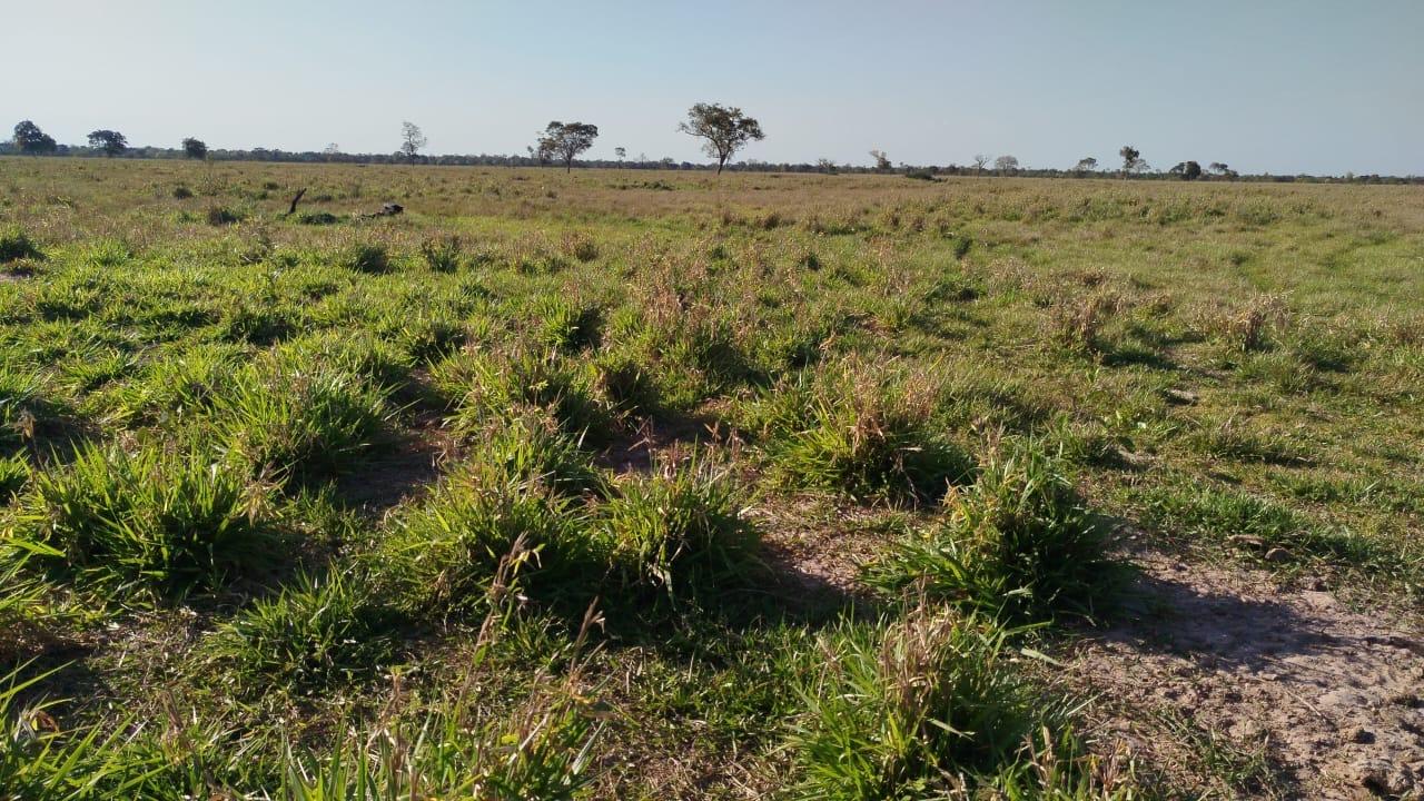 Propriedade rural em Corumbá — 7.128 ha — foto 1 de 12