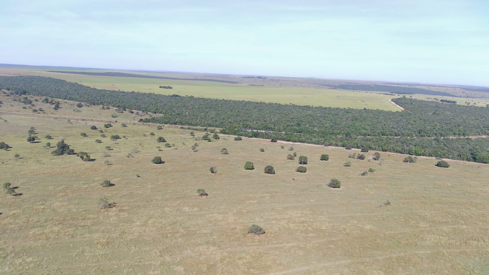 Propriedade rural em Itiquira — 3.000 ha — foto 1 de 10