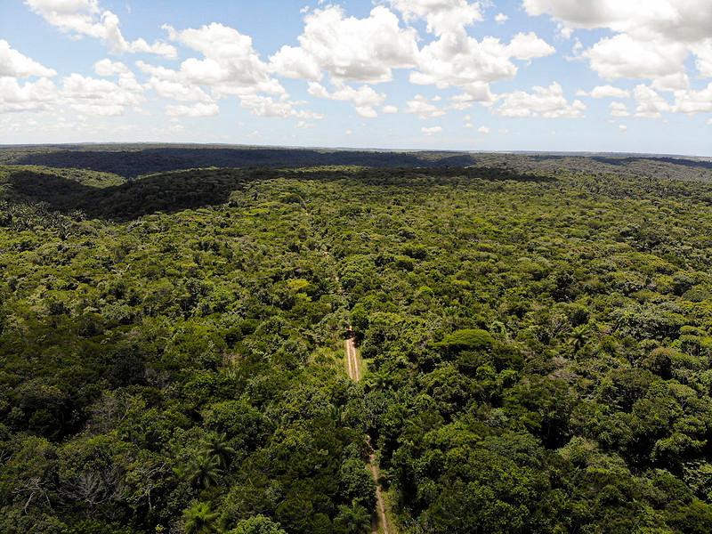 Propriedade rural em Brotas — 300 ha — foto 1 de 3