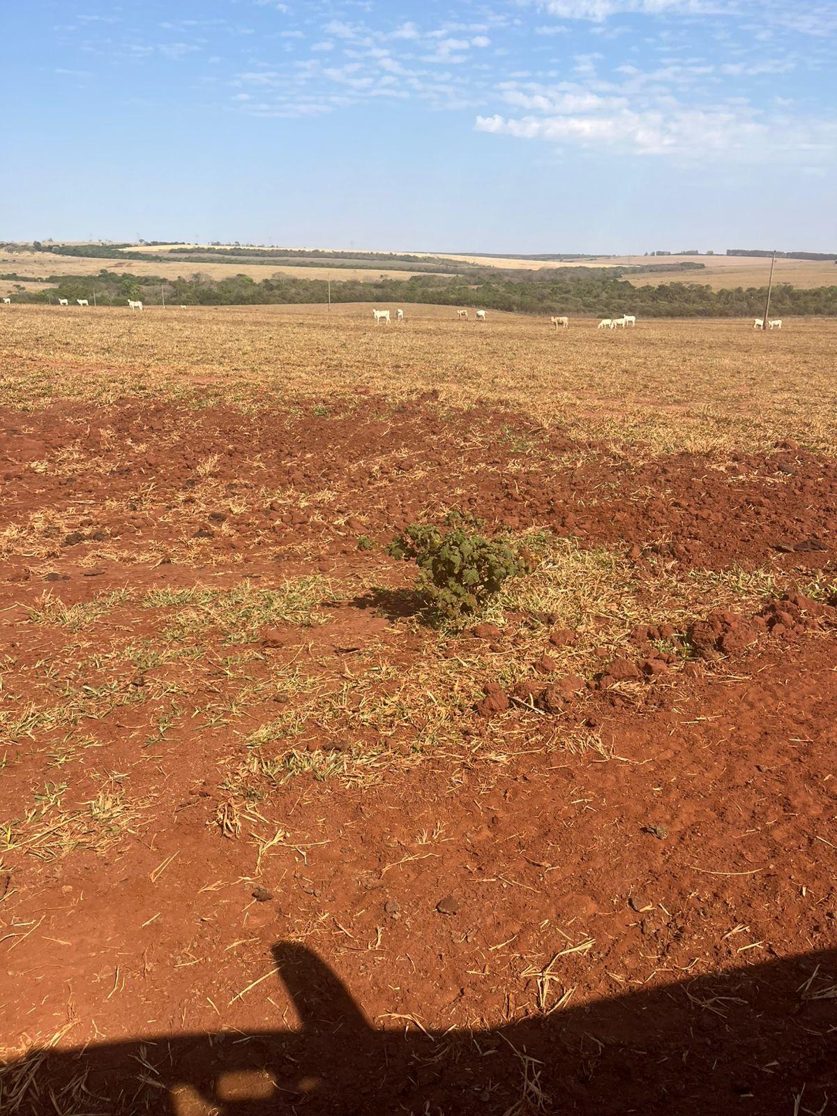 Propriedade rural em Campo Grande — 1.946 ha — foto 1 de 12