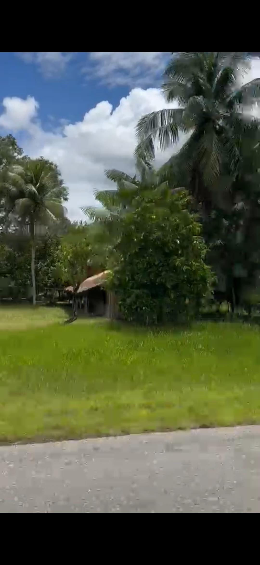 Propriedade rural em Igarapé-Miri — 530 ha — foto 1 de 5