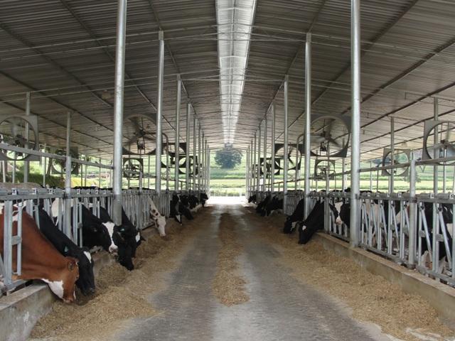 Propriedade rural em Angatuba — 123 ha — foto 1 de 12