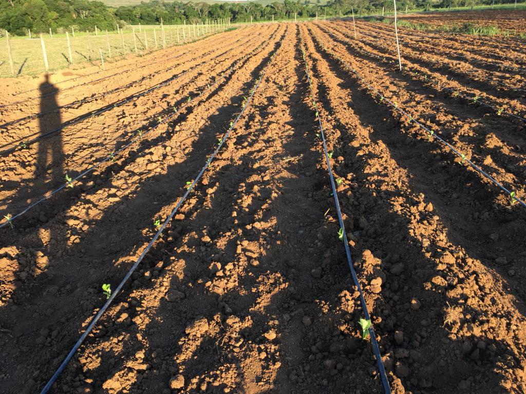 Propriedade rural em Tatuí — 6 ha — foto 1 de 3