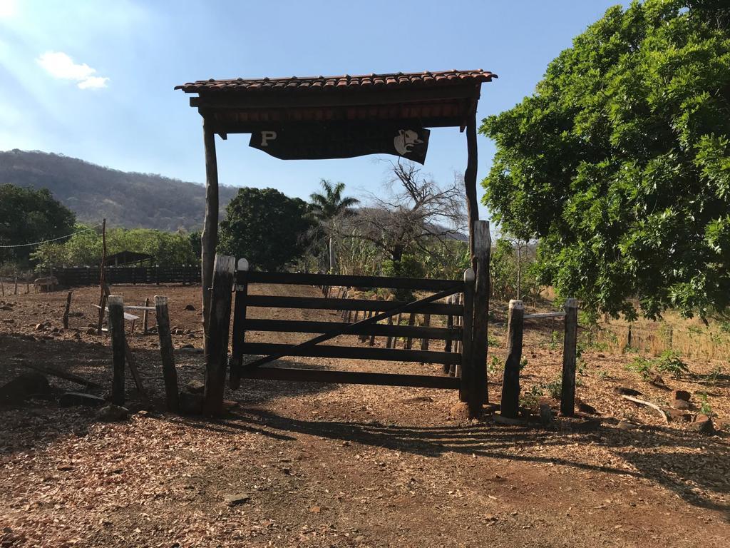 Propriedade rural em Niquelândia — foto 1 de 12