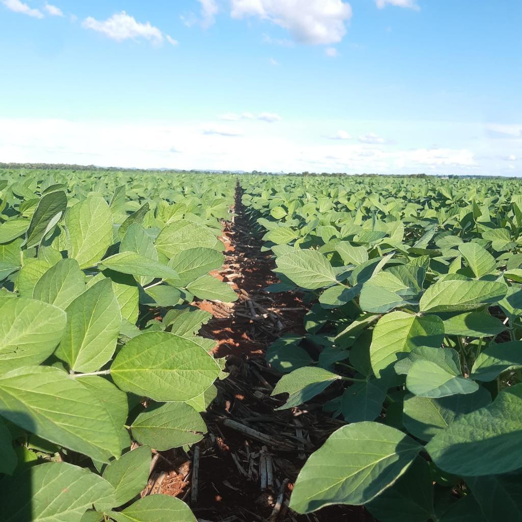 Propriedade rural em Jussara — 465 ha — foto 1 de 12