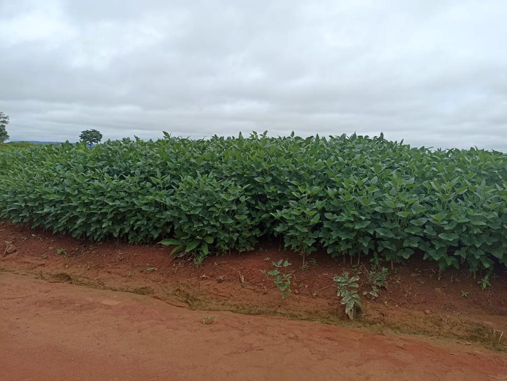 Propriedade rural em Fátima — 5.033 ha — foto 1 de 12