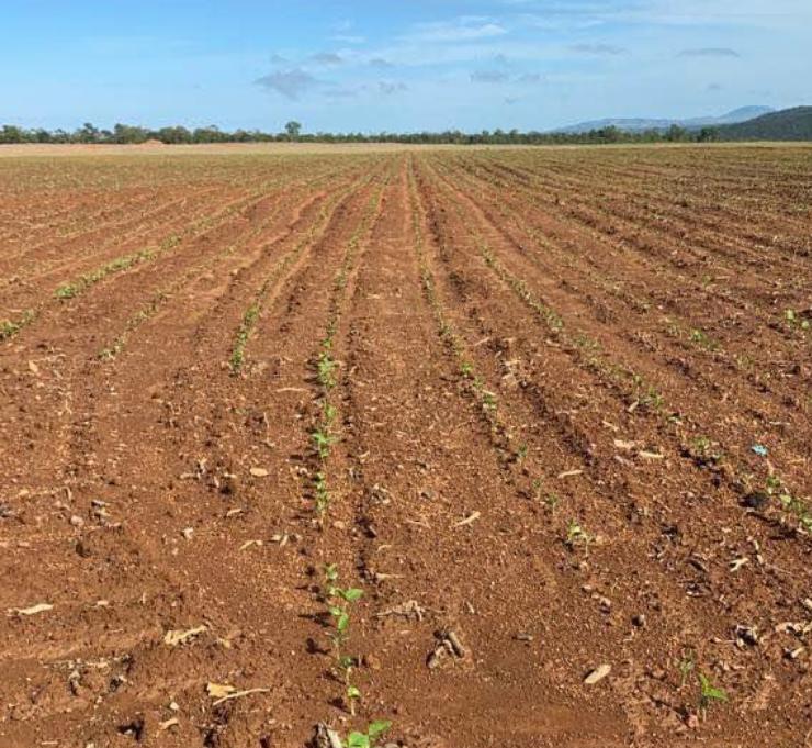 Propriedade rural em Niquelândia — 1.900 ha — foto 1 de 12