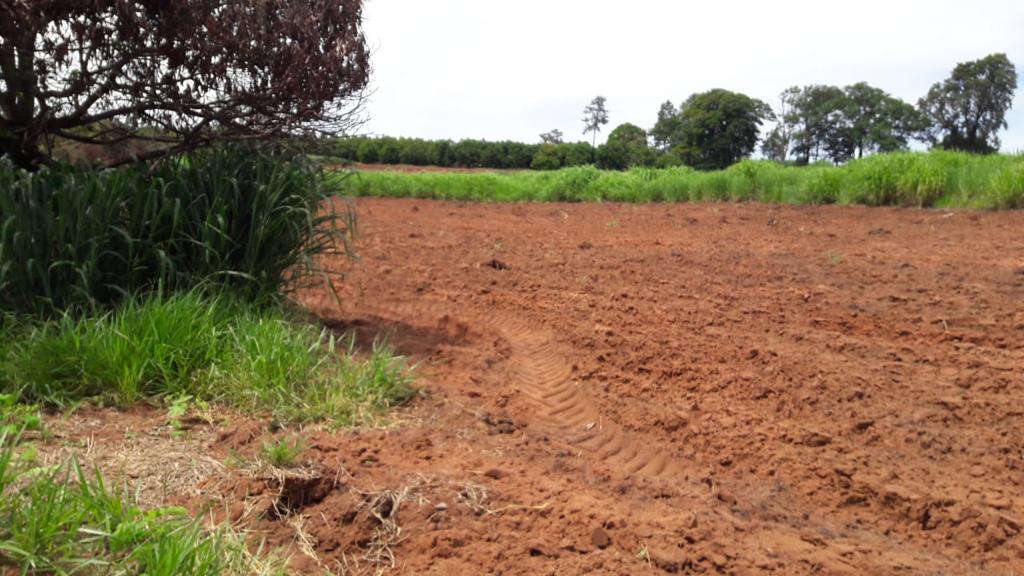 Propriedade rural em Gália — 344 ha — foto 1 de 9
