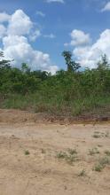Propriedade rural em Moju — 440 hectares — foto 1 de 11