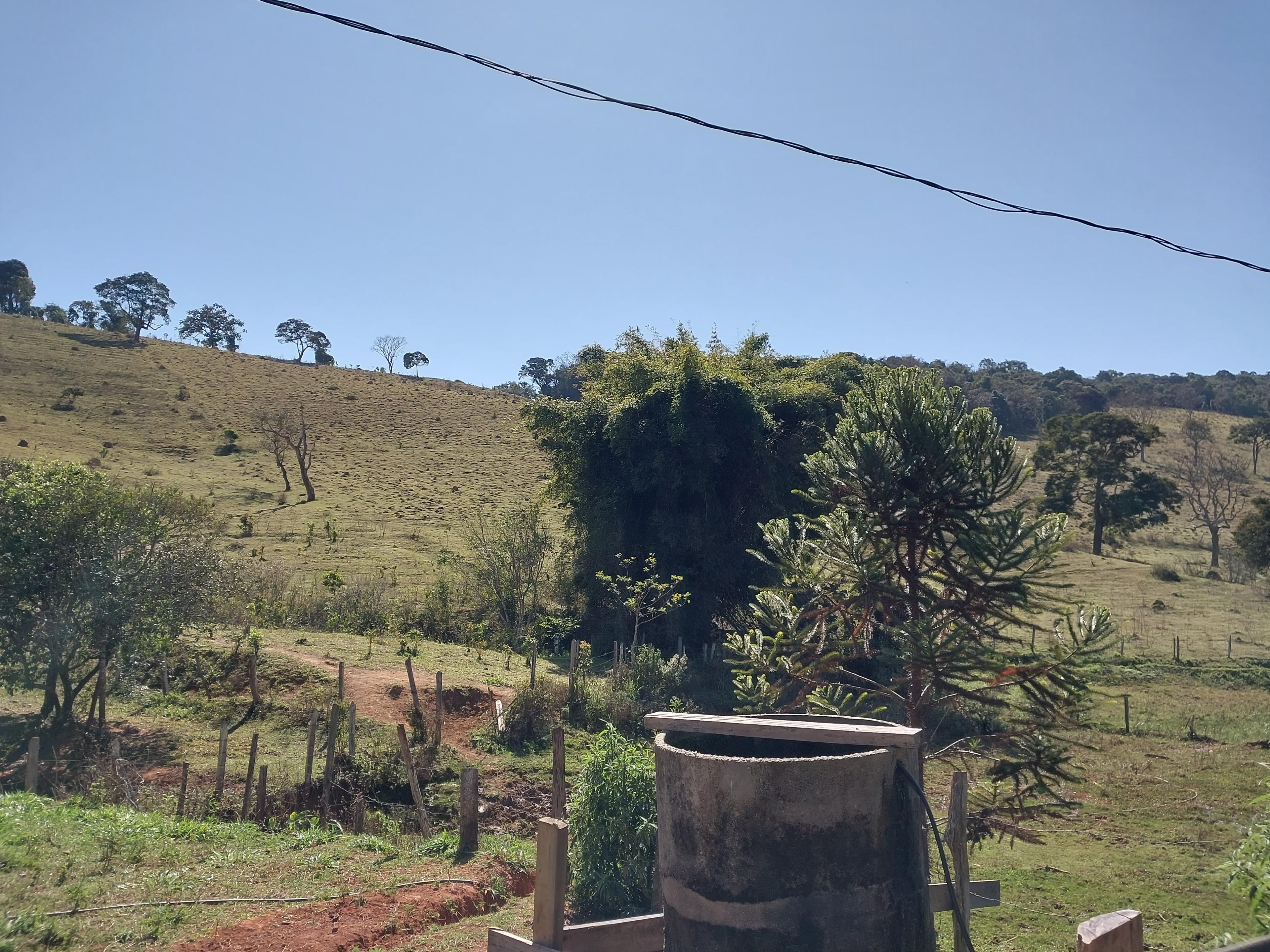 Propriedade rural em Borda da Mata — 15 ha — foto 1 de 2