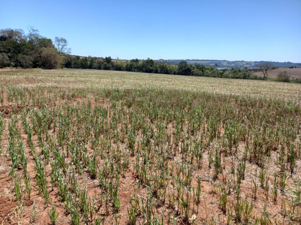 Propriedade rural em Tatuí — 42 ha — foto 1 de 6