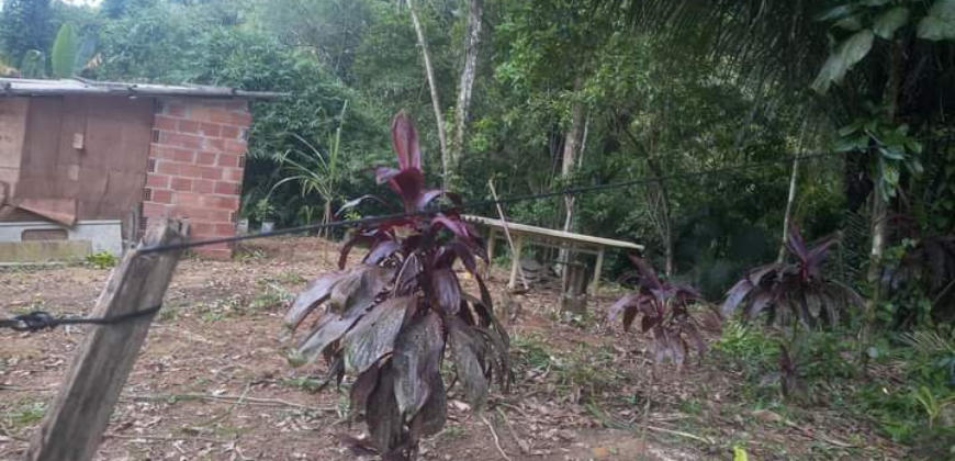 Bello terreno a venda